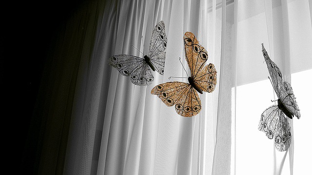 motýlí dekorace