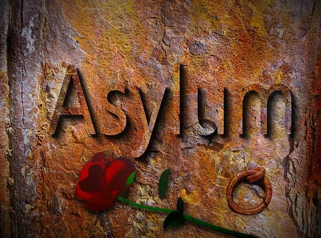 azyl a růže