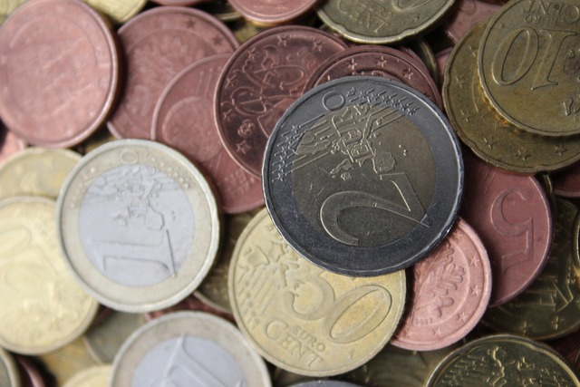 mince EU